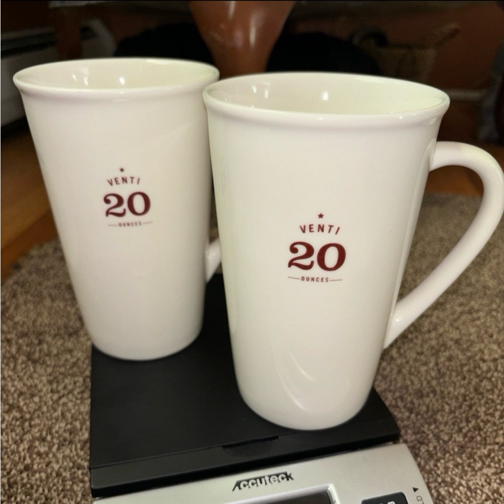 STARBUCKS VENTI 20 OUNCES 2010 Mug Large